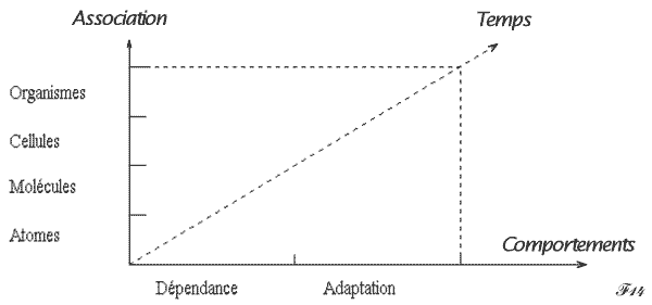 adaptation des organismes à leur milieu