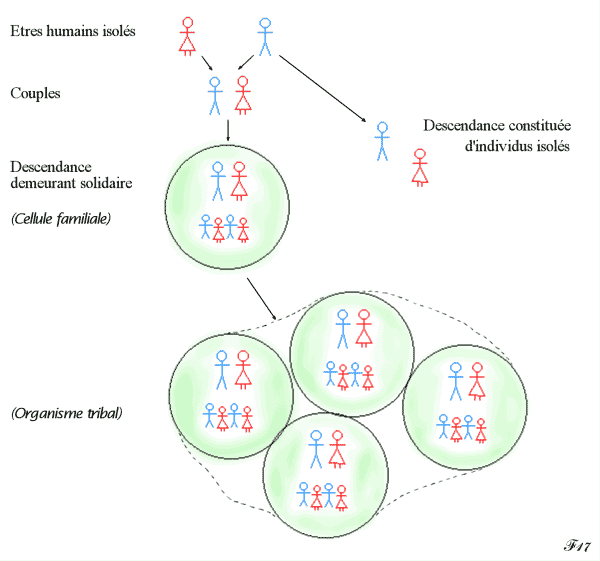 évolution de l'individu vers le groupe