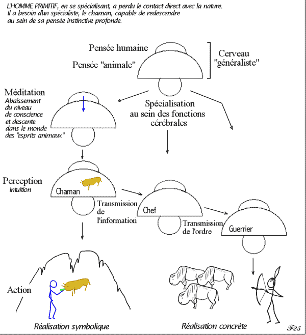 rôle du chaman