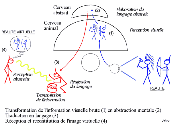 développement du langage