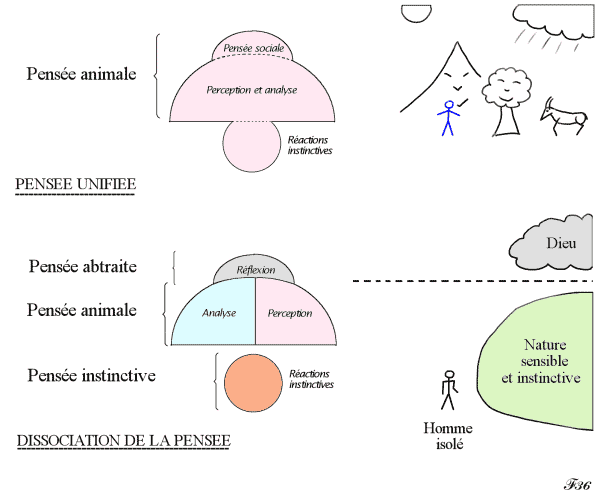 pensée agie et pensée réfléchie