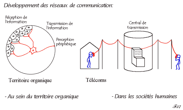 développement des réseaux de communication