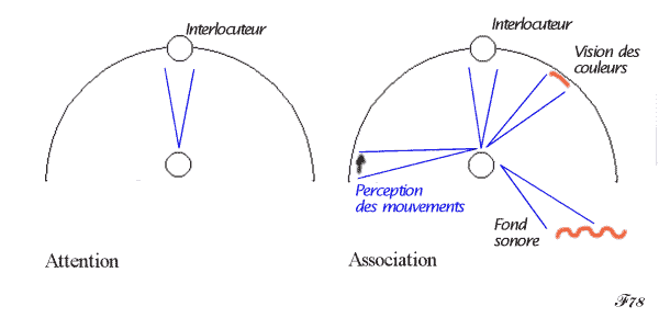 attention focalisée