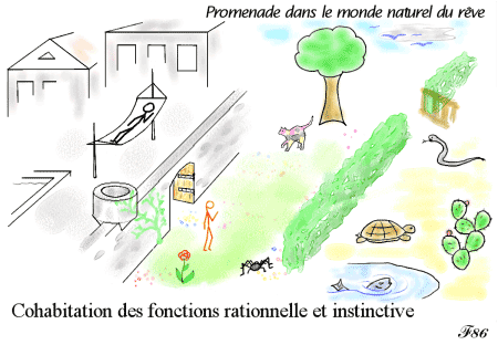 sommeil paradoxal et comportements instinctifs