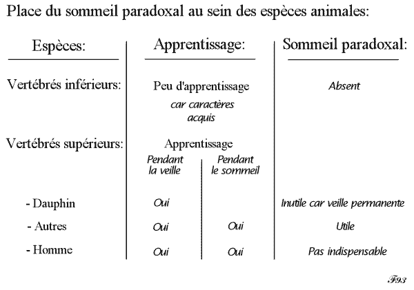 place du sommeil paradoxal chez les espèces animales