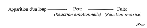 perception et réaction émotionnelle