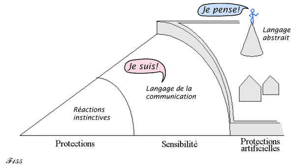 Intelligence et raison