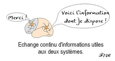 conscient et inconscient des systemes complementaires