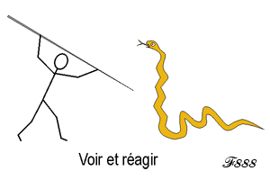 réaction instinctive