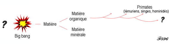 l'évolution, depuis la naissance de l'univers