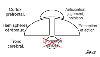 Prefrontal control.