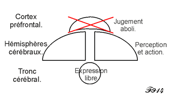 Spontanéité de l'instinct.