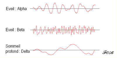 rythmes cérébraux en veille, sommeil et rêve