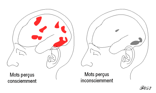 cerveau : aires de la perception subliminale