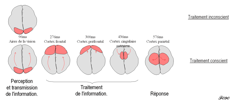 conscience liée à la vision