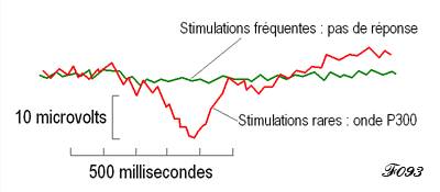 éveil de l'attention et onde P300