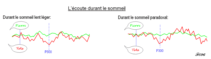 onde p300 durant le sommeil