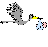 stork carrying a baby