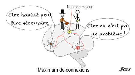 adolescence: conflict between instinct and reason