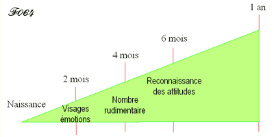 Evolution du bebe entre la naissance et 1 an