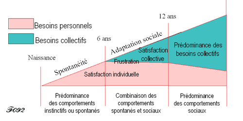 Développement des besoins de la naissance à l'age adulte