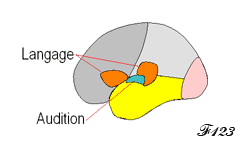 Aires du langage.