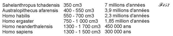 Evolution du volume du cerveau de l'homme.