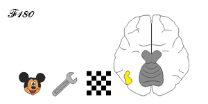 Visual Word Form Area (VWFA).