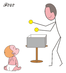 Newborn's scanning ability.