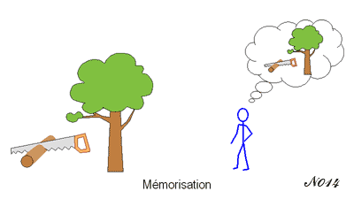 mémoire et représentation symbolique