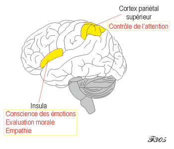 Attention and awareness of emotions in the brain.