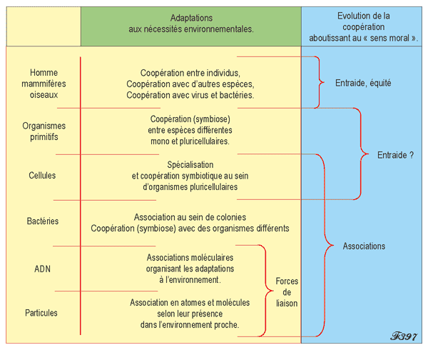 Communication au sein de la matière.