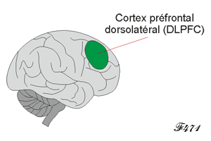 Reconnaisssance de l'injustice dans le cerveau.