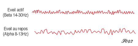 Ondes cérébrales durant l'éveil