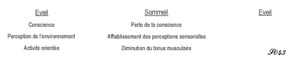 Sommeil et perte de la conscience