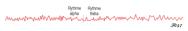 Ondes cérébrales de l'endormissement