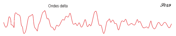 Ondes cérébrales du sommeil lent profond