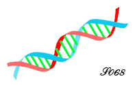 Double hélice d'ADN