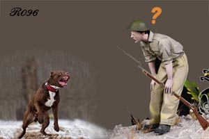 A puzzled soldier.
